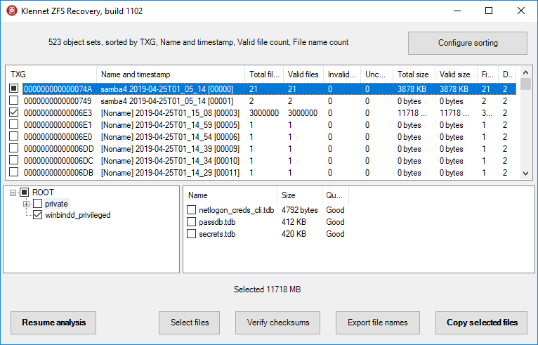 Klennet ZFS Recovery results view